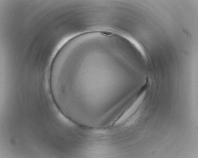 X0000115331102200911231406