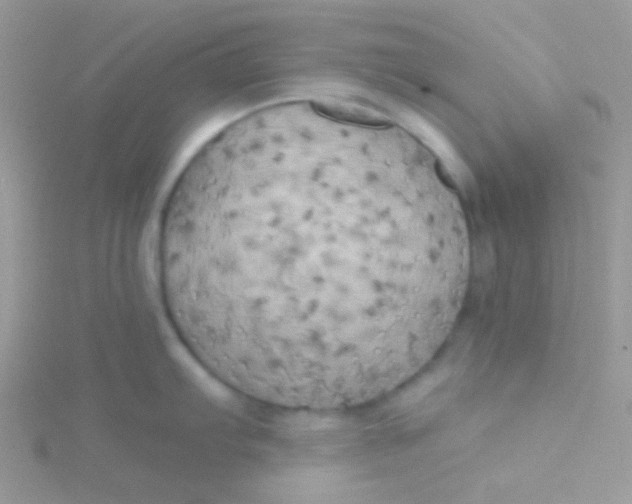 X0000115331103200911231406