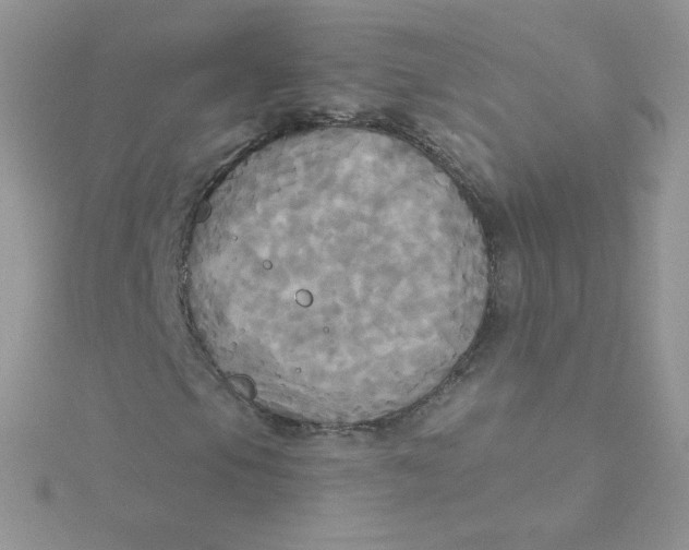 X0000115331105200911231406