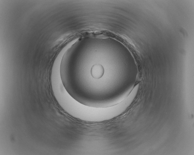 X0000115331110200911231406