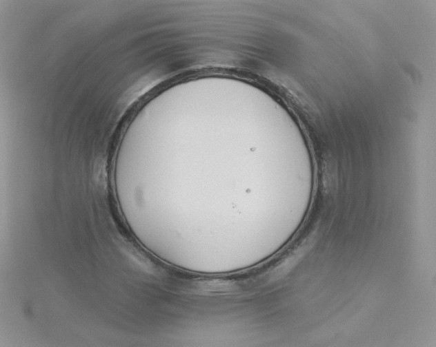 X0000115331113200911231406