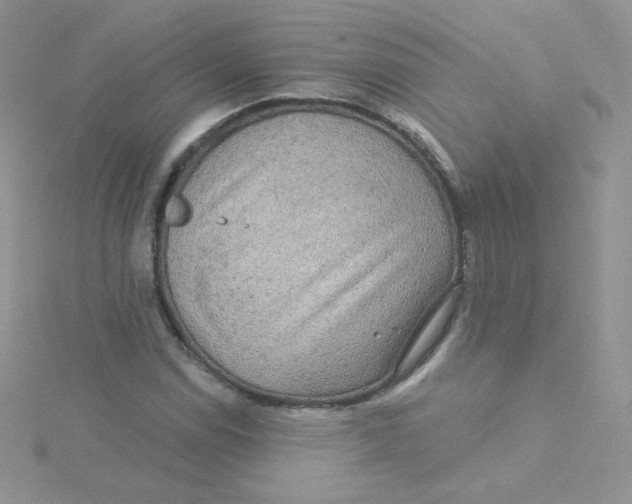 X0000115331114200911231406