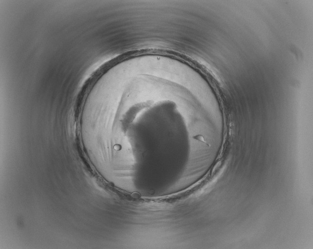 X0000115331117200911231406