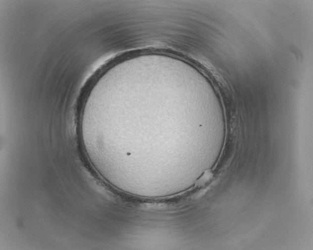 X0000115331118200911231406