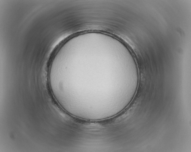 X0000115331119200911231406