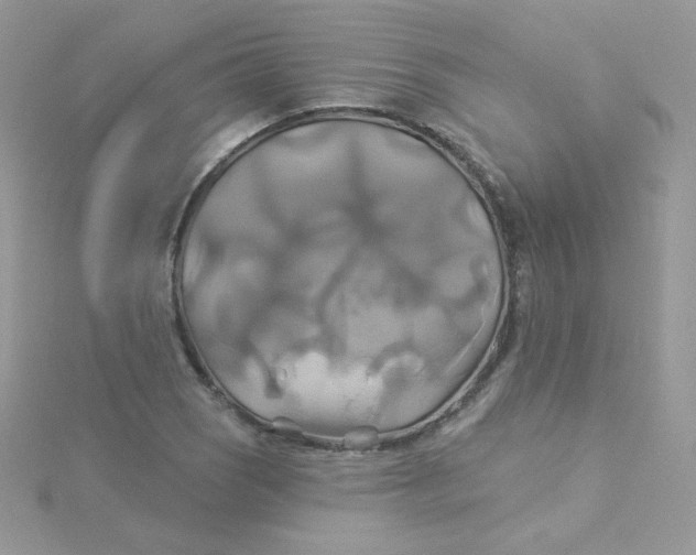 X0000115331121200911231406