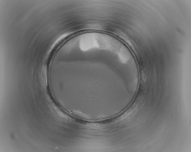 X0000115331123200911231406