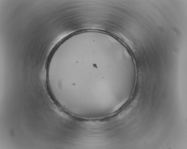 X0000115331125200911231406