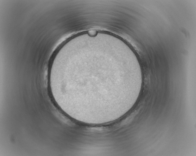 X0000115331126200911231406