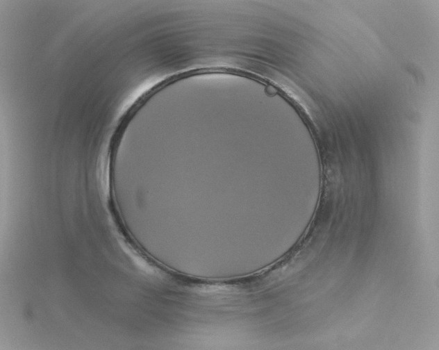 X0000115331127200911231406