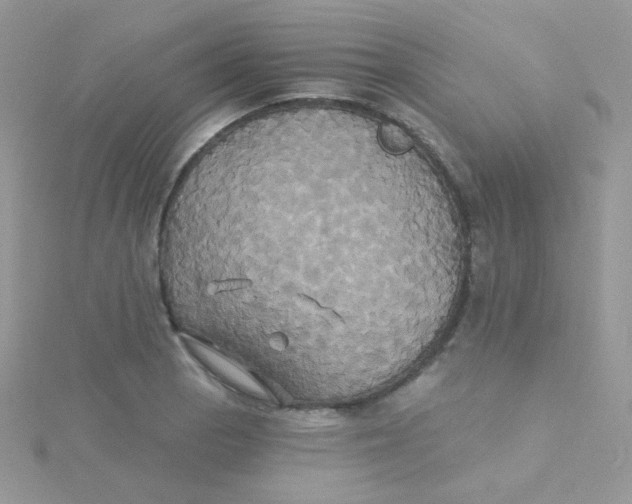 X0000115331129200911231406