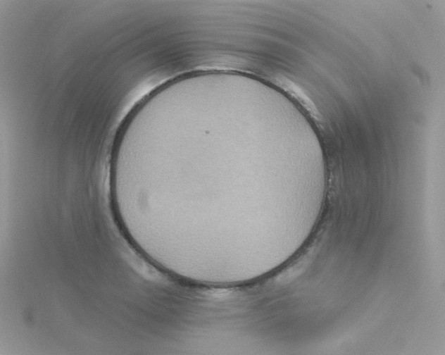 X0000115331130200911231406