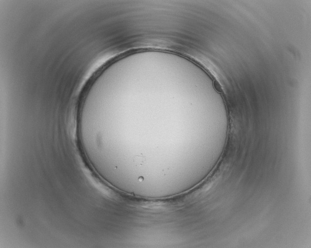 X0000115331131200911231406