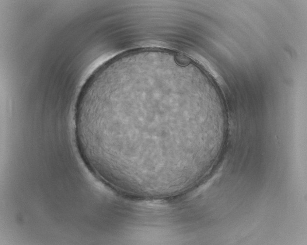 X0000115331133200911231406