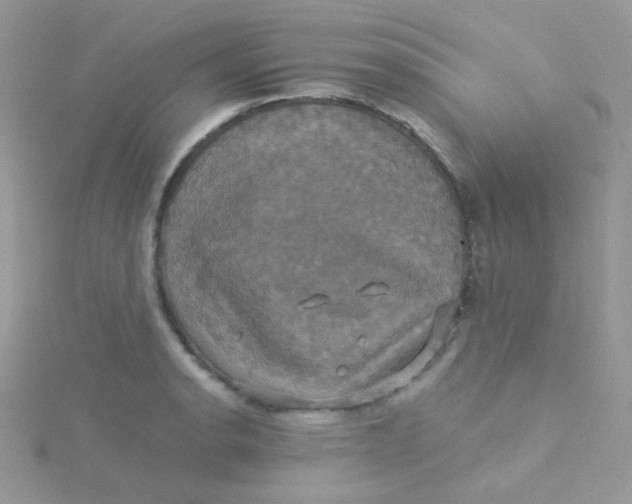 X0000115331134200911231406