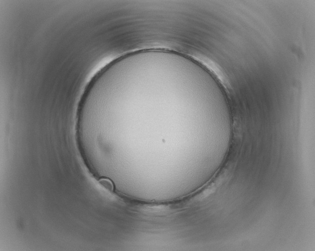 X0000115331135200911231406