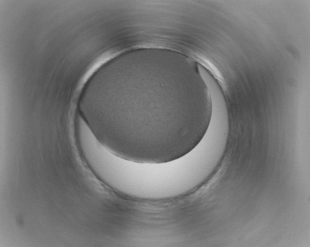 X0000115331138200911231406