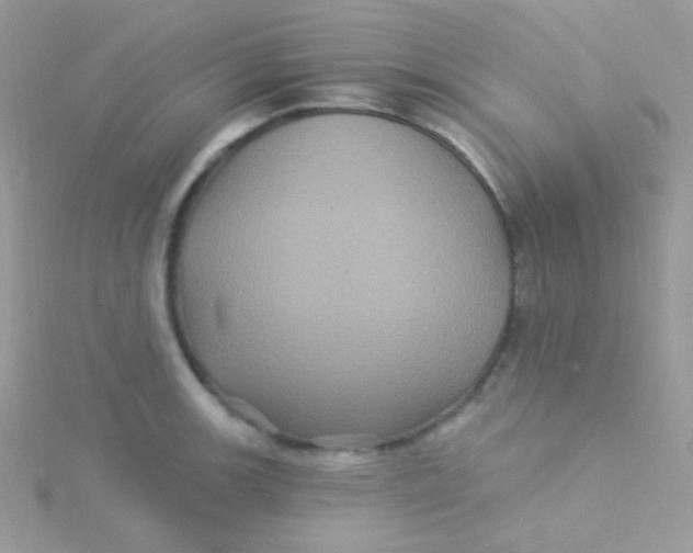 X0000115331139200911231406