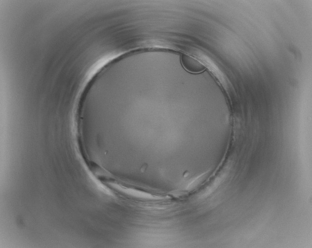 X0000115331141200911231406