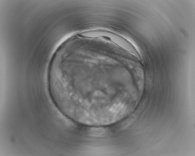 X0000115331142200911231406