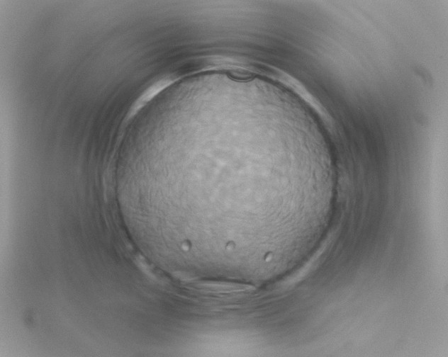 X0000115331145200911231406