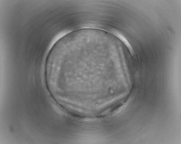 X0000115331146200911231406