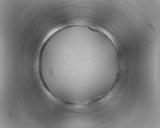 X0000115331147200911231406