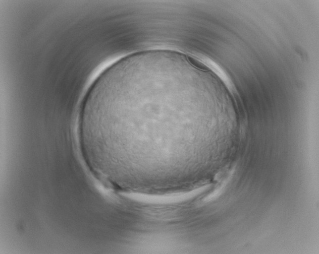 X0000115331149200911231406