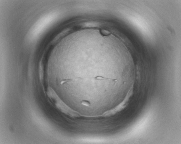 X0000115331151200911231406