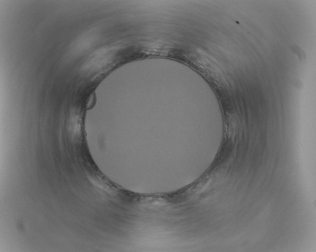 X0000115331154200911231406