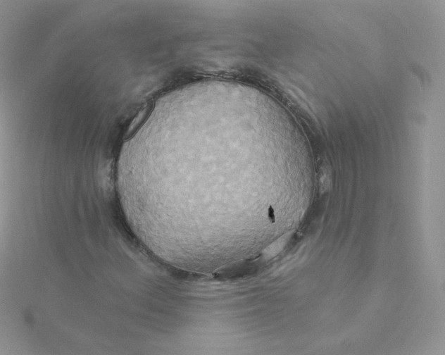 X0000115331156200911231406