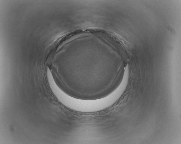 X0000115331157200911231406