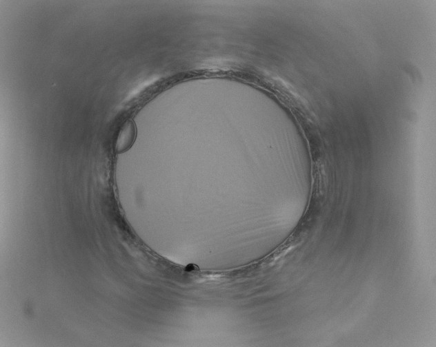 X0000115331158200911231406