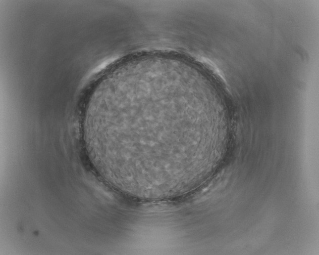 X0000115331159200911231406