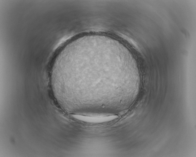 X0000115331160200911231406