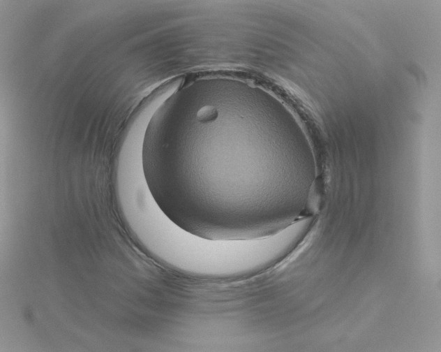 X0000115331161200911231406