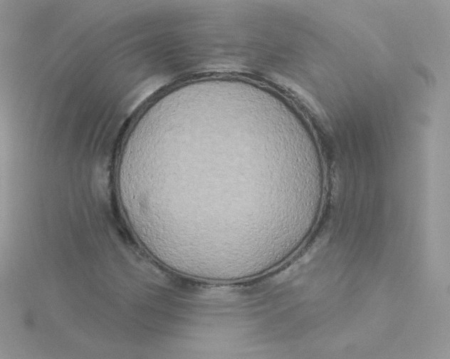 X0000115331162200911231406