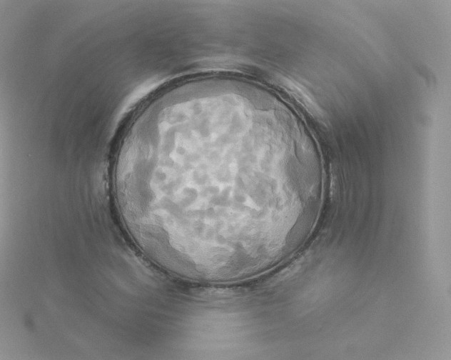 X0000115331164200911231406