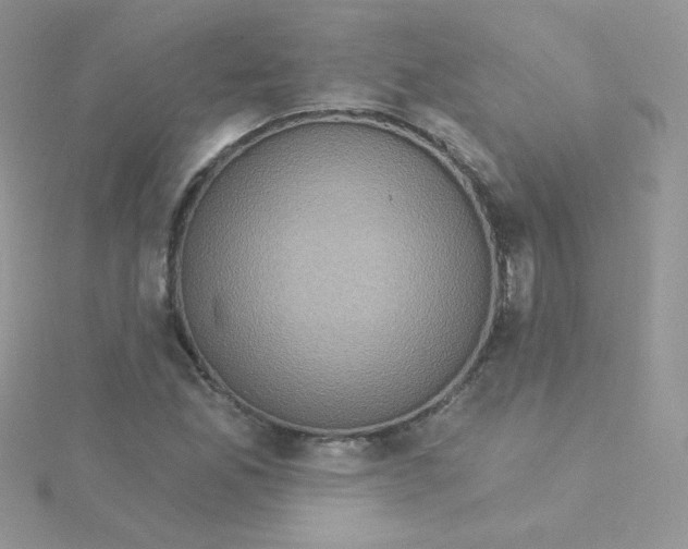 X0000115331165200911231406