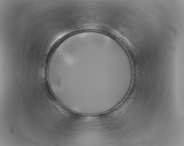 X0000115331166200911231406