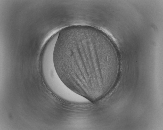 X0000115331167200911231406