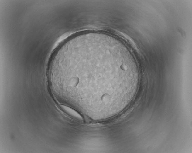 X0000115331168200911231406