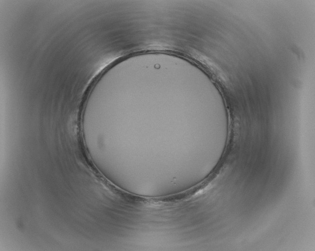 X0000115331170200911231406