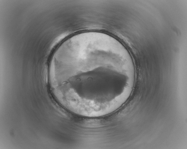 X0000115331171200911231406