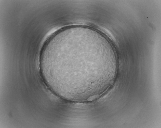 X0000115331172200911231406