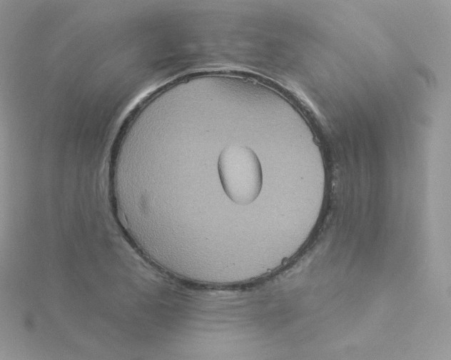 X0000115331173200911231406