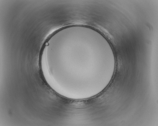 X0000115331174200911231406