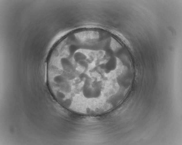 X0000115331175200911231406