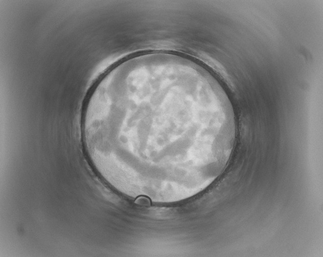 X0000115331176200911231406