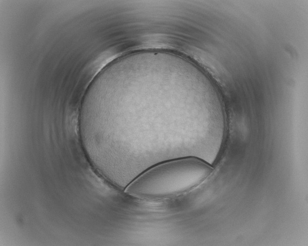 X0000115331177200911231406